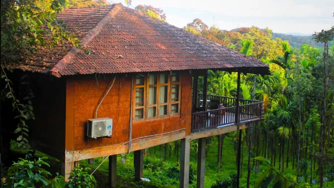 Tree House